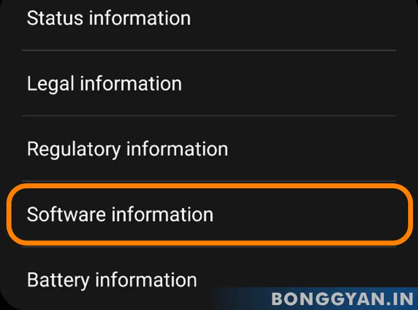 Software Information in Samsung phones one ui 5